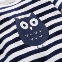Owl on Blue Lines with Hat and Napkin Bib