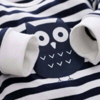 Owl on Blue Lines with Hat and Napkin Bib