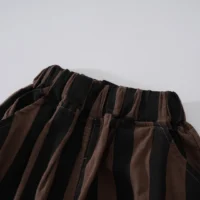 Brown Casual 2pc Shirt And Shorts With Black Lines